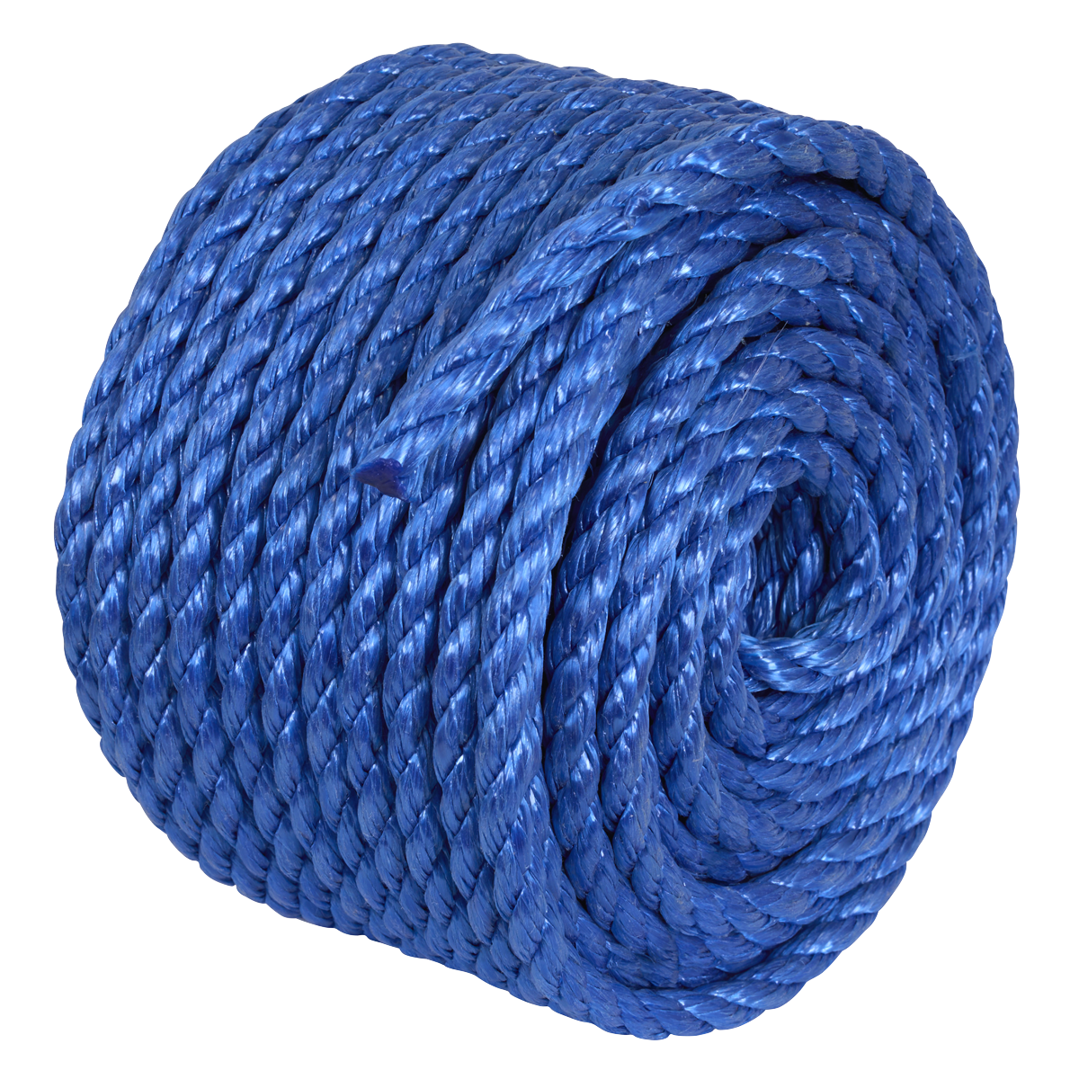 10mm x 30m Polypropylene Split Film Twisted Rope, Blue | PR1030 — SBT Ltd.