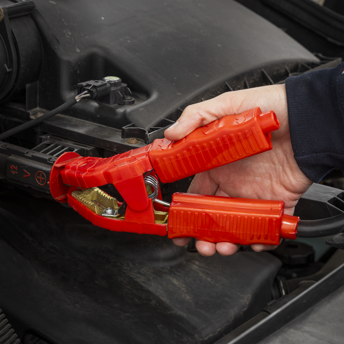 12/24V Premier RoadStart® Jump Starter 5000A | PRS5000