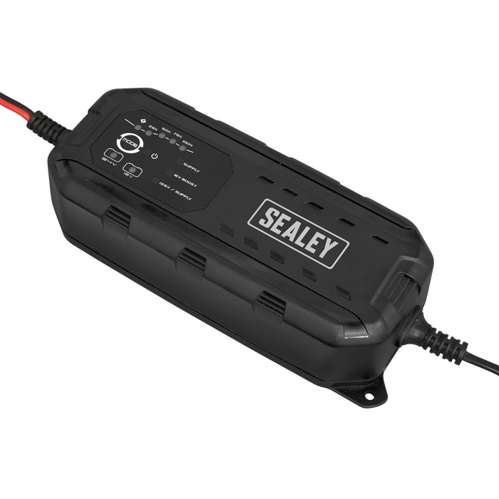 12/24V Premier RoadStart® Jump Starter 6400A | PRS6400