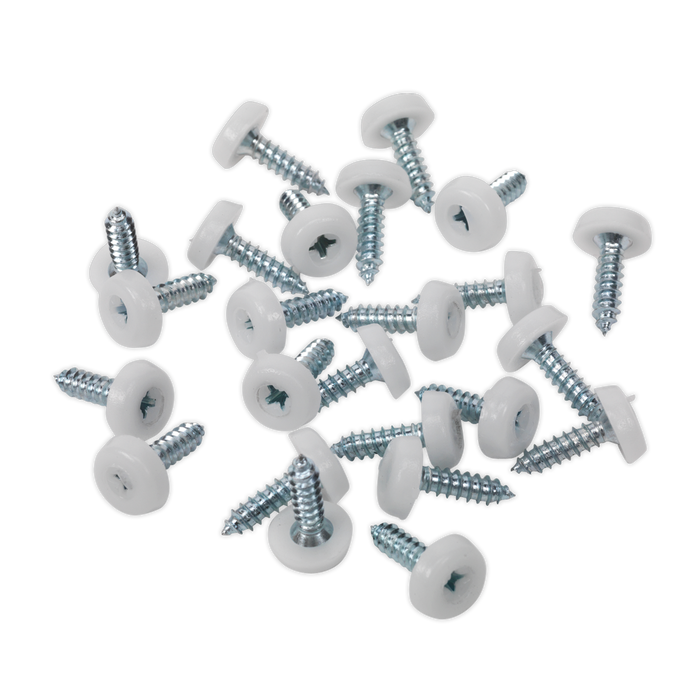 Numberplate Screw with Plastic Enclosed Head 4.8 x 18mm, White - Pack of 50 | PTNP1