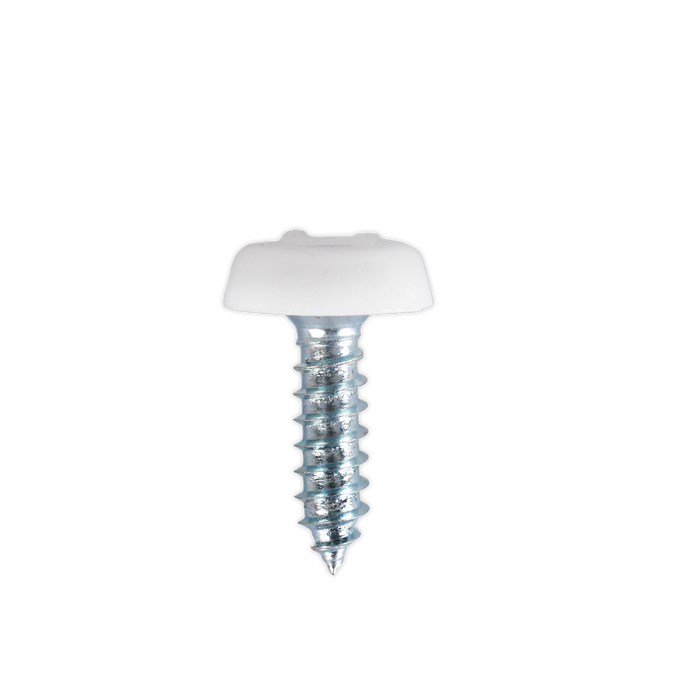 Numberplate Screw with Plastic Enclosed Head 4.8 x 18mm, White - Pack of 50 | PTNP1