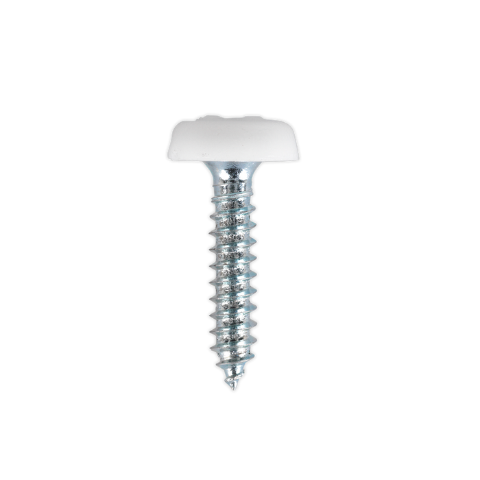 Numberplate Screw with Plastic Enclosed Head 4.8 x 24mm, White - Pack of 50 | PTNP5