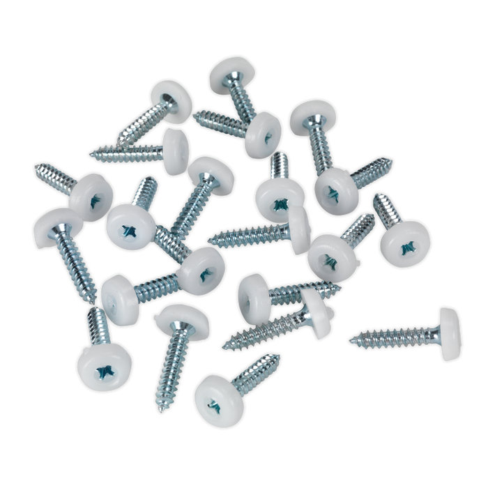 Numberplate Screw with Plastic Enclosed Head 4.8 x 24mm, White - Pack of 50 | PTNP5