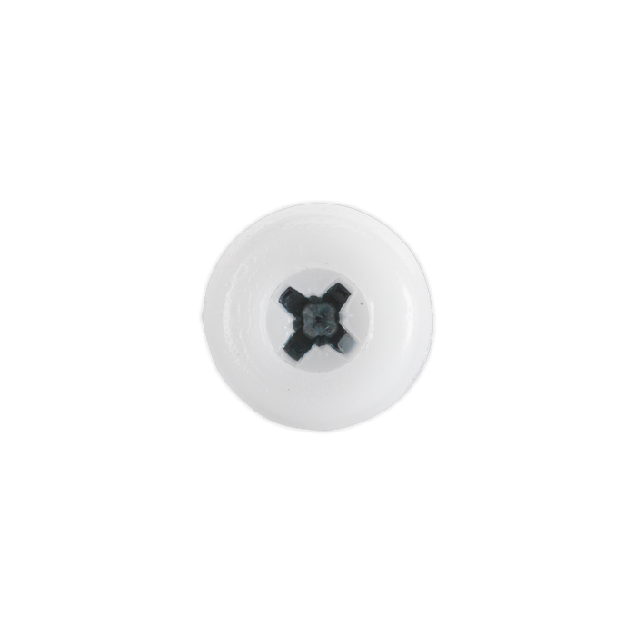 Numberplate Screw with Plastic Enclosed Head 4.8 x 24mm, White - Pack of 50 | PTNP5