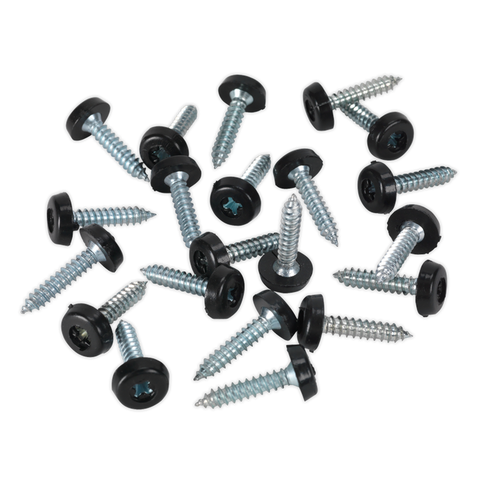 Numberplate Screw with Plastic Enclosed Head 4.8 x 24mm, Black - Pack of 50 | PTNP7