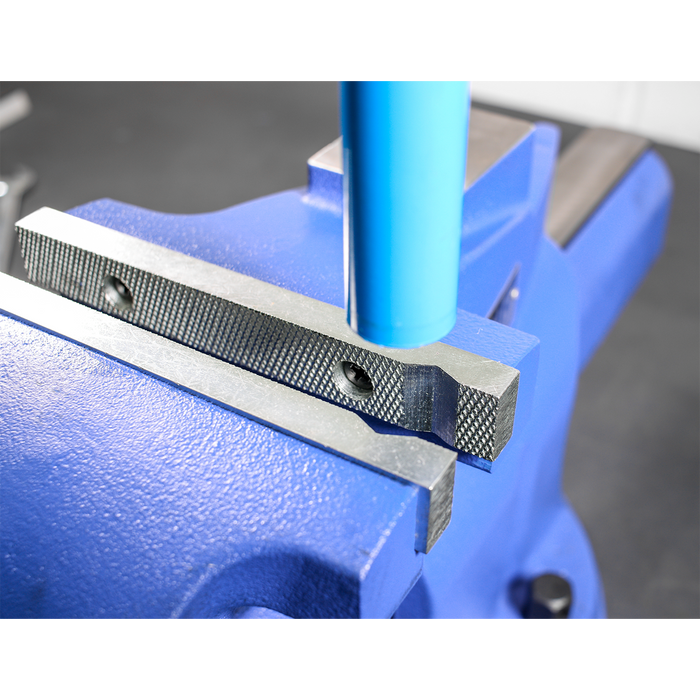 Quick Action Cast Iron Vice with Swivel Base 200mm | QAV200