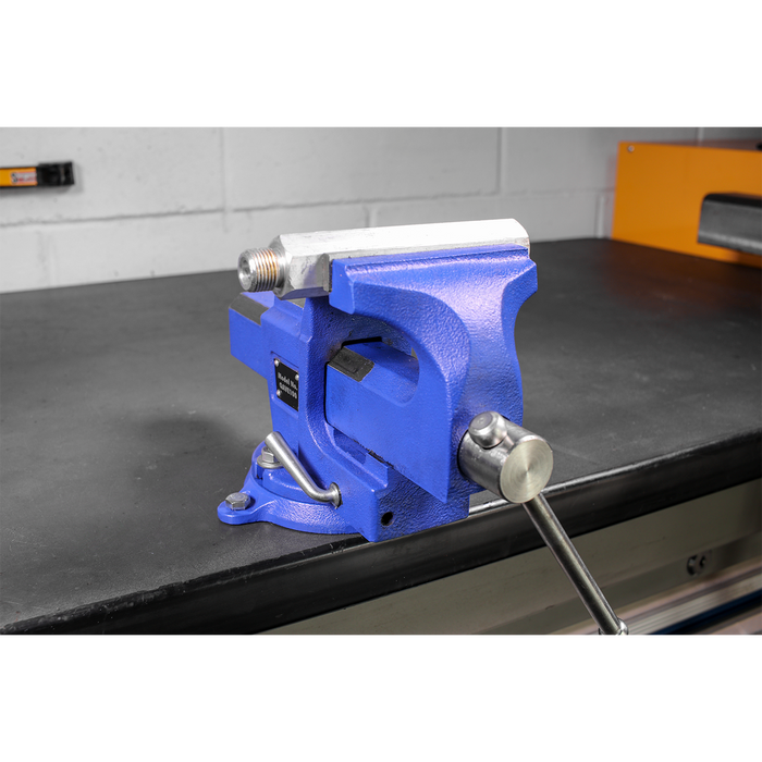 Quick Action SG Iron Vice with Swivel Base 100mm | QAVE100