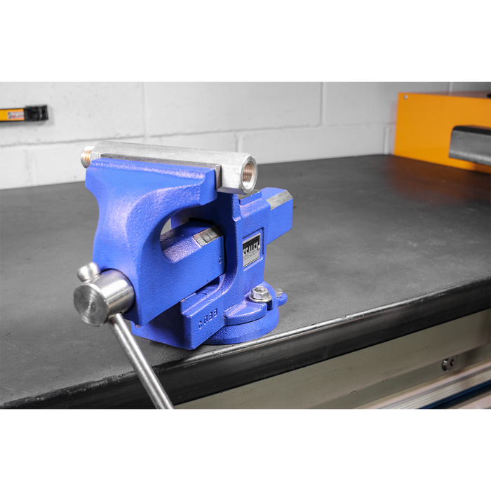 Quick Action SG Iron Vice with Swivel Base 100mm | QAVE100