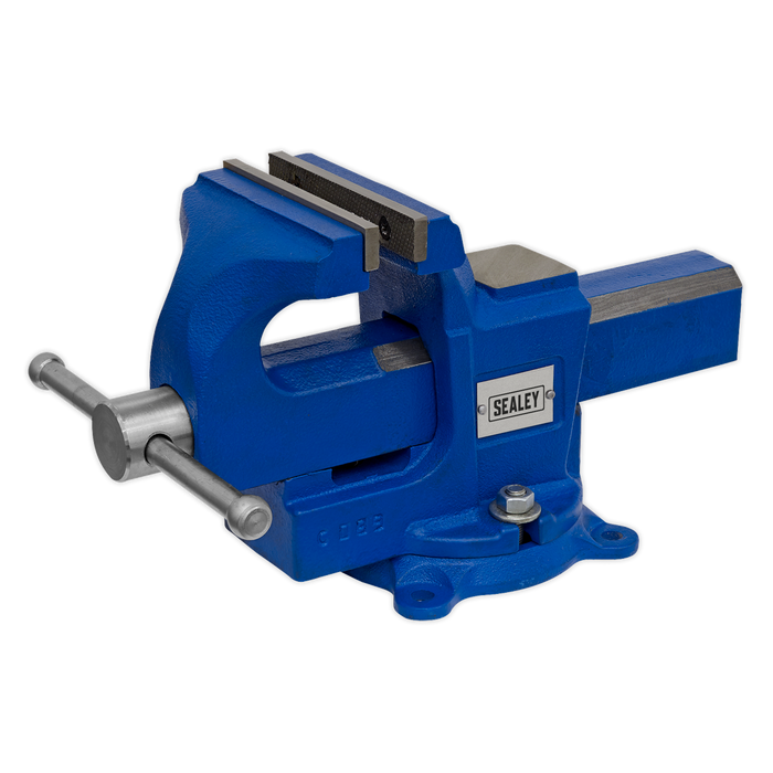 Quick Action SG Iron Vice with Swivel Base 100mm | QAVE100
