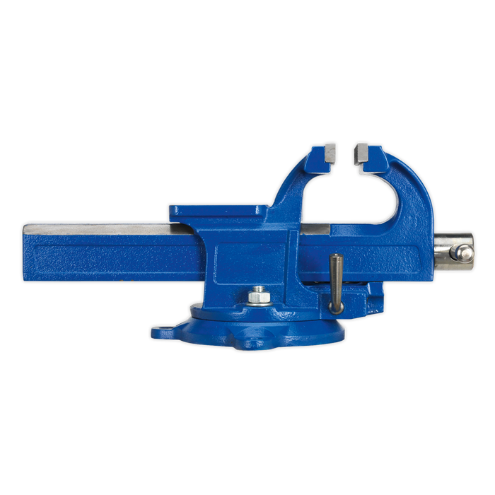 Quick Action SG Iron Vice with Swivel Base 100mm | QAVE100