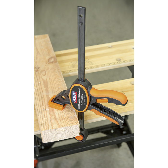 Quick Bar Clamp Set 300mm 2pc | QBC3002