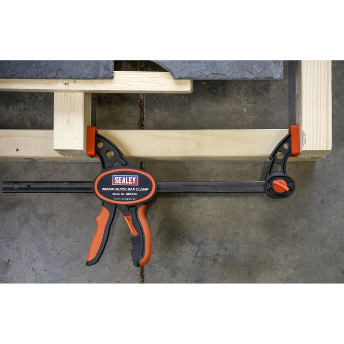 Quick Bar Clamp Set 300mm 2pc | QBC3002