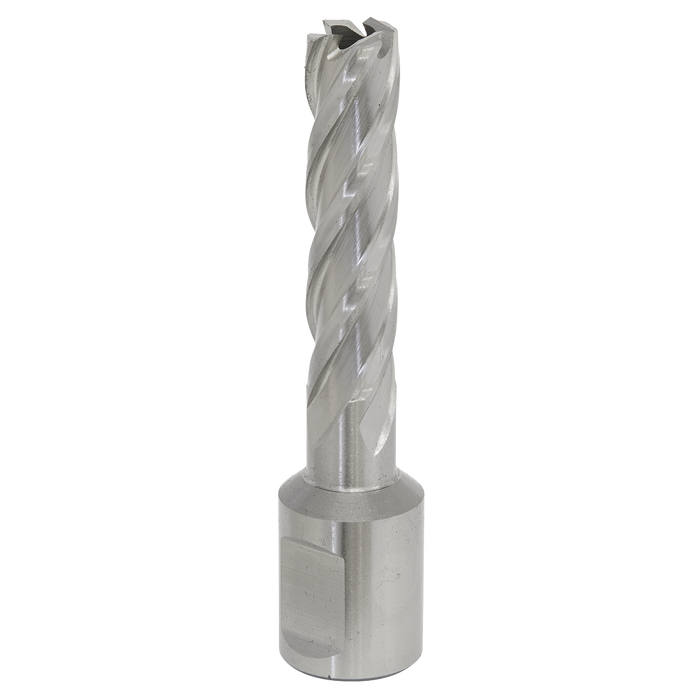 Worksafe® 12mm HSS Mag Drill Bit Cut Depth 50mm | RBHSS12L