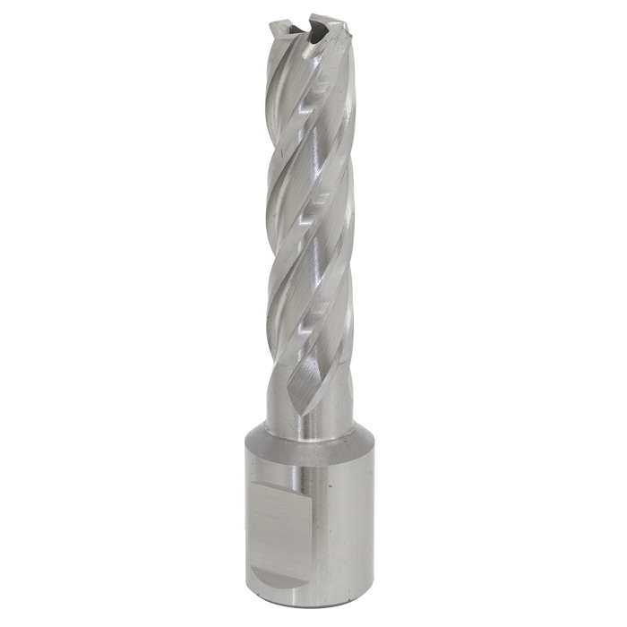 Worksafe® 13mm HSS Mag Drill Bit Cut Depth 50mm | RBHSS13L