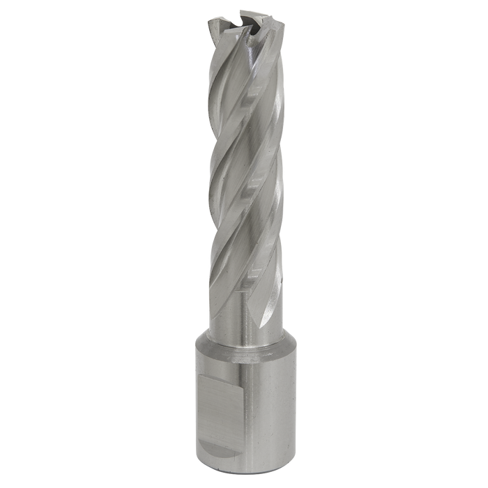Worksafe® 14mm HSS Mag Drill Bit Cut Depth 50mm | RBHSS14L