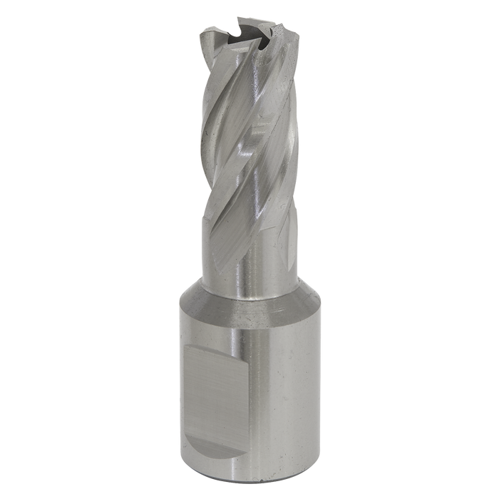 Worksafe® 14mm HSS Mag Drill Bit Cut Depth 25mm | RBHSS14S