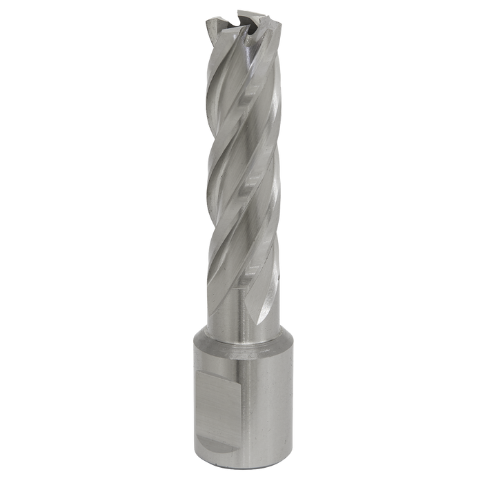 Worksafe® 15mm HSS Mag Drill Bit Cut Depth 50mm | RBHSS15L