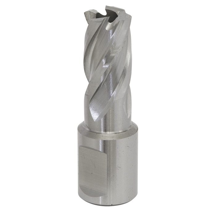 Worksafe® 15mm HSS Mag Drill Bit Cut Depth 25mm | RBHSS15S
