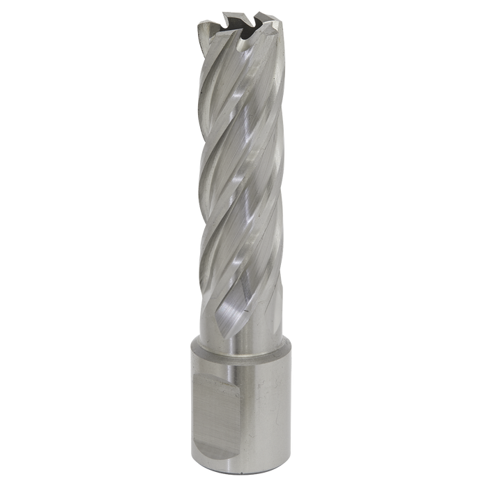 Worksafe® 16mm HSS Mag Drill Bit Cut Depth 50mm | RBHSS16L