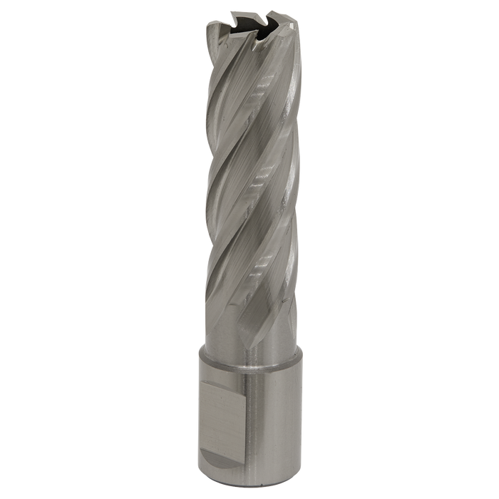 Worksafe® 17mm HSS Mag Drill Bit Cut Depth 50mm | RBHSS17L
