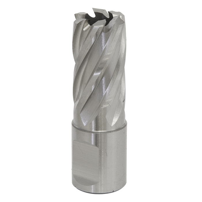 Worksafe® 17mm HSS Mag Drill Bit Cut Depth 25mm | RBHSS17S