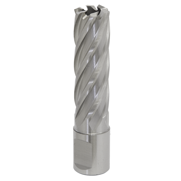 Worksafe® 18mm HSS Mag Drill Bit Cut Depth 50mm | RBHSS18L