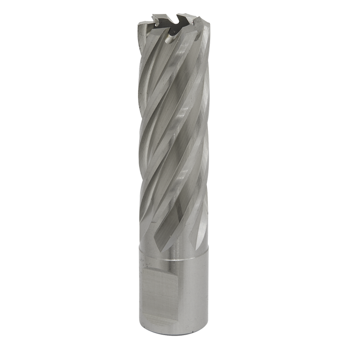 Worksafe® 19mm HSS Mag Drill Bit Cut Depth 50mm | RBHSS19L