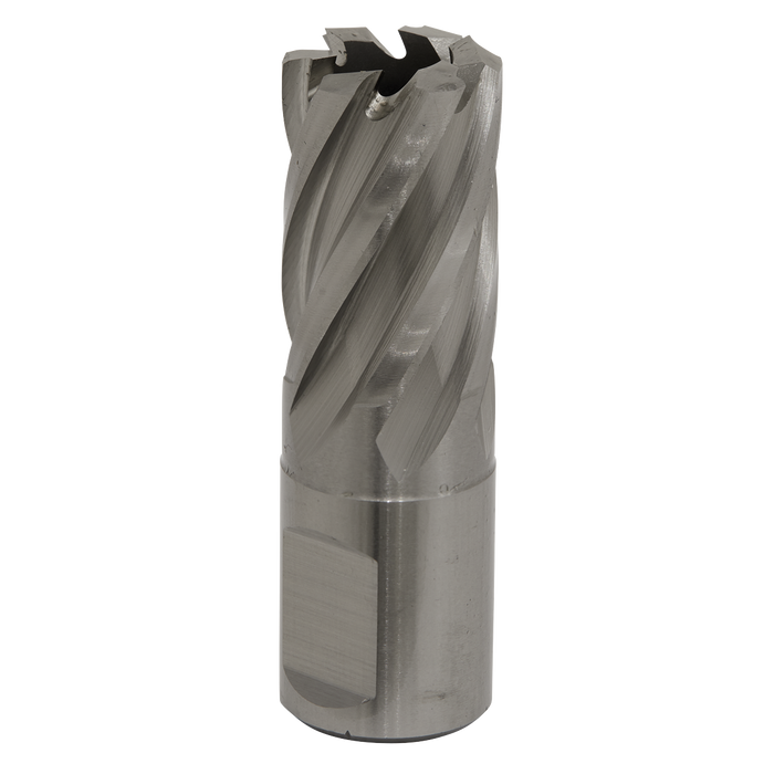 Worksafe® 19mm HSS Mag Drill Bit Cut Depth 25mm | RBHSS19S