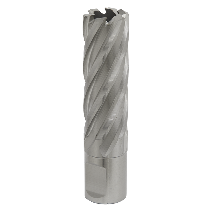 Worksafe® 20mm HSS Mag Drill Bit Cut Depth 50mm | RBHSS20L