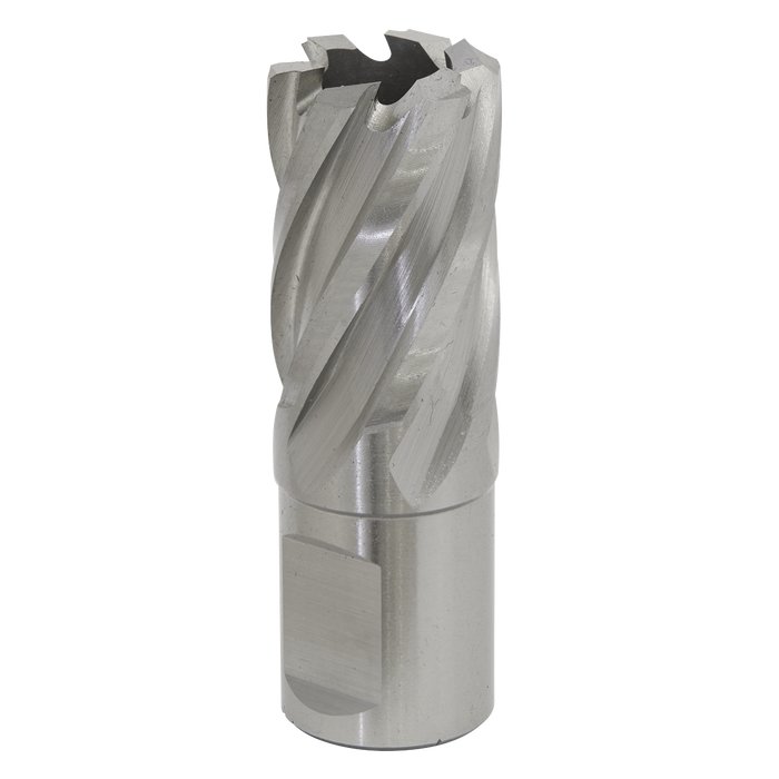 Worksafe® 20mm HSS Mag Drill Bit Cut Depth 25mm | RBHSS20S