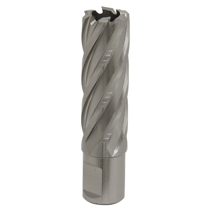 Worksafe® 21mm HSS Mag Drill Bit Cut Depth 50mm | RBHSS21L