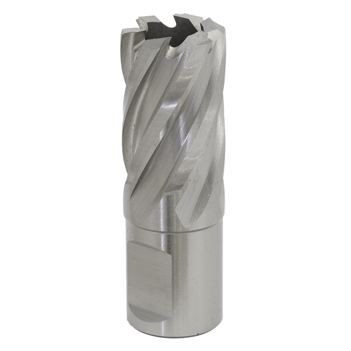 Worksafe® 21mm HSS Mag Drill Bit Cut Depth 25mm | RBHSS21S