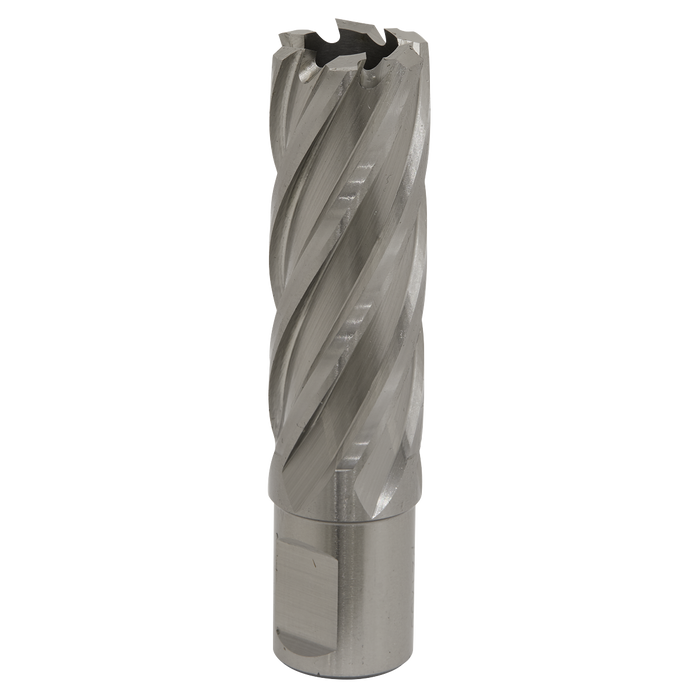 Worksafe® 22mm HSS Mag Drill Bit Cut Depth 50mm | RBHSS22L