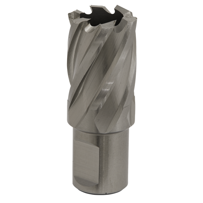 Worksafe® 23mm HSS Mag Drill Bit Cut Depth 25mm | RBHSS23S