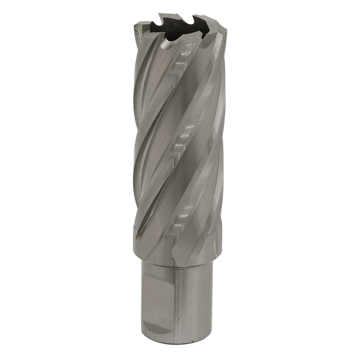 Worksafe® 24mm HSS Mag Drill Bit Cut Depth 50mm | RBHSS24L