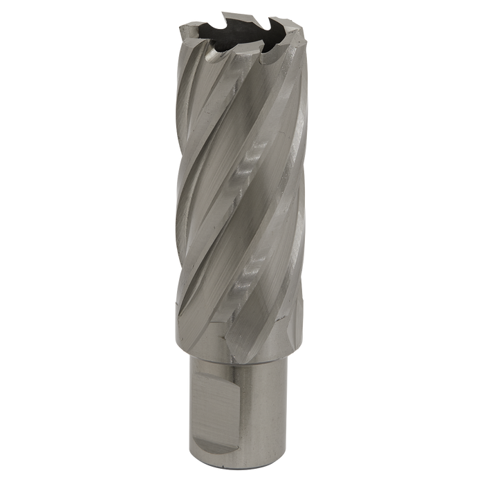 Worksafe® 25mm HSS Mag Drill Bit Cut Depth 50mm | RBHSS25L