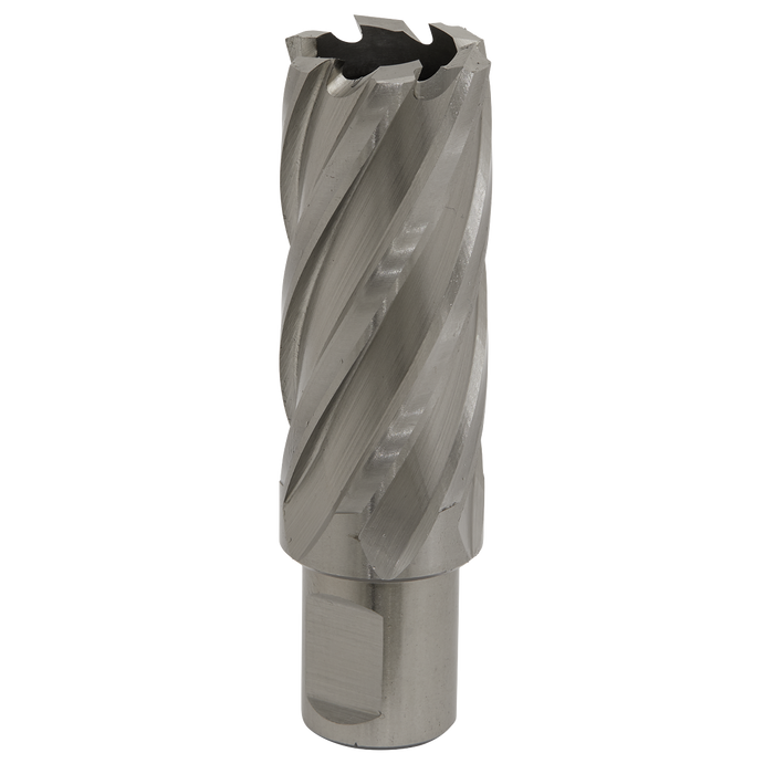 Worksafe® 26mm HSS Mag Drill Bit Cut Depth 50mm | RBHSS26L