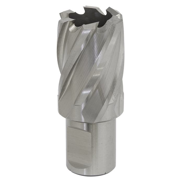 Worksafe® 26mm HSS Mag Drill Bit Cut Depth 25mm | RBHSS26S