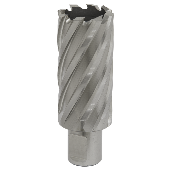 Worksafe® 29mm HSS Mag Drill Bit Cut Depth 50mm | RBHSS29L