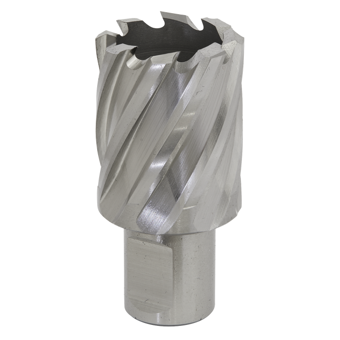 Worksafe® 29mm HSS Mag Drill Bit Cut Depth 25mm | RBHSS29S