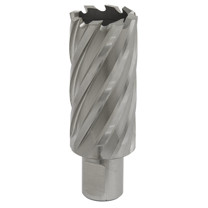 Worksafe® 30mm HSS Mag Drill Bit Cut Depth 50mm | RBHSS30L