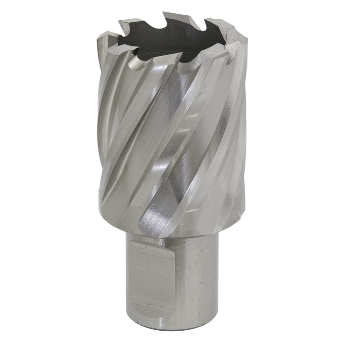 Worksafe® 30mm HSS Mag Drill Bit Cut Depth 25mm | RBHSS30S