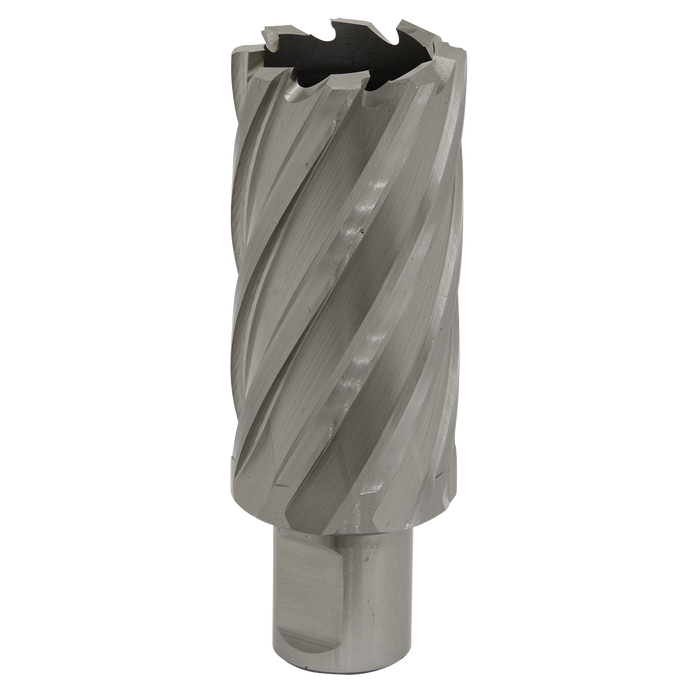 Worksafe® 31mm HSS Mag Drill Bit Cut Depth 50mm | RBHSS31L