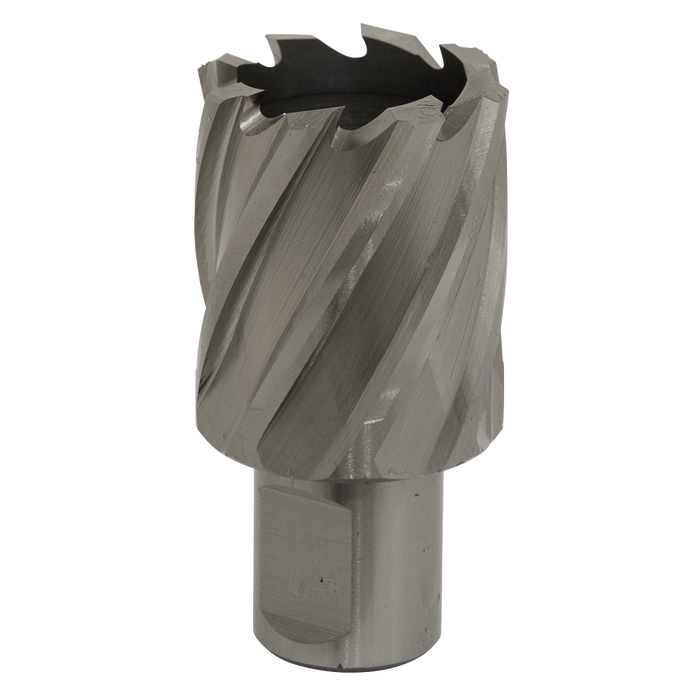 Worksafe® 32mm HSS Mag Drill Bit Cut Depth 25mm | RBHSS32S