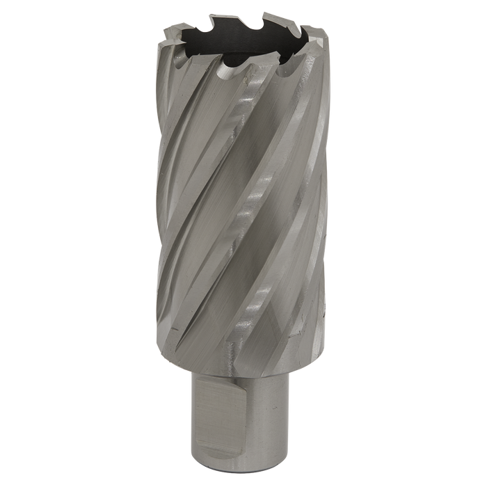 Worksafe® 33mm HSS Mag Drill Bit Cut Depth 50mm | RBHSS33L