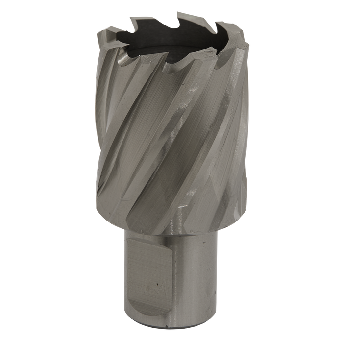 Worksafe® 33mm HSS Mag Drill Bit Cut Depth 25mm | RBHSS33S
