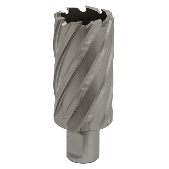 Worksafe® 34mm HSS Mag Drill Bit Cut Depth 50mm | RBHSS34L