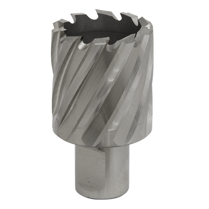Worksafe® 34mm HSS Mag Drill Bit Cut Depth 25mm | RBHSS34S