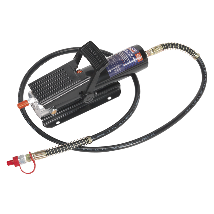 Air Hydraulic Pump with Hose 10 Tonne | RE83/840/CWH