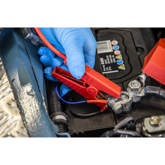 RoadStart® 12V Lithium-ion Jump Starter Power Pack 800A | RS800